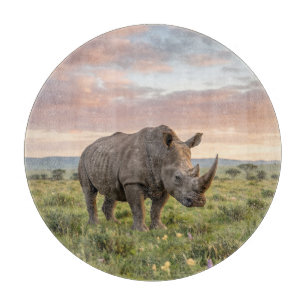 Planche À Découper Rhinocéros Solitaire Dans La Savane Au Coucher Du