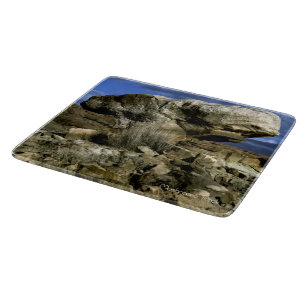 Planche À Découper Roche de champignons