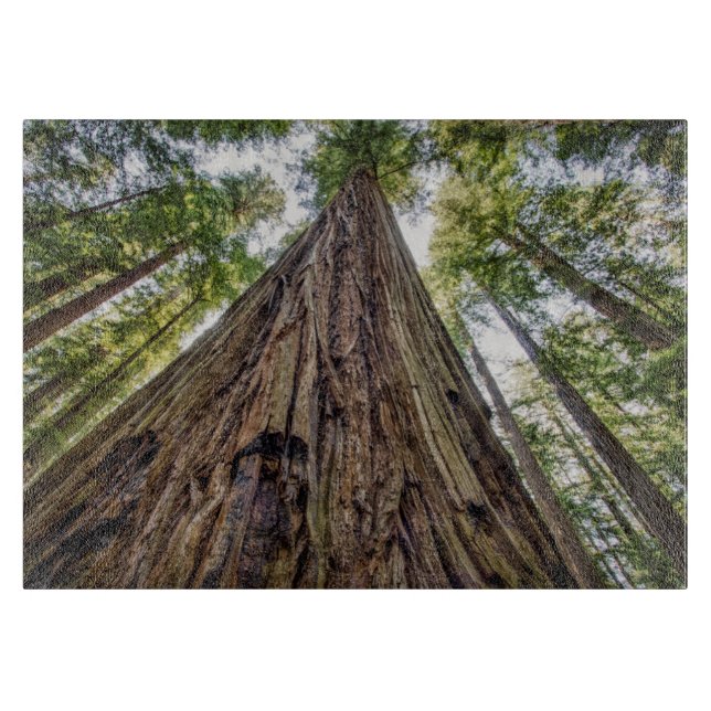 Planche À Découper Roosevelt Grove (Devant)