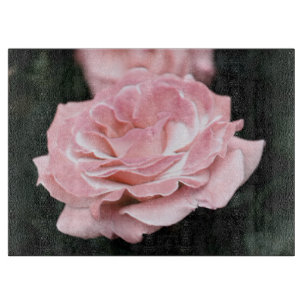 Planche À Découper Rose rose en pleine floraison