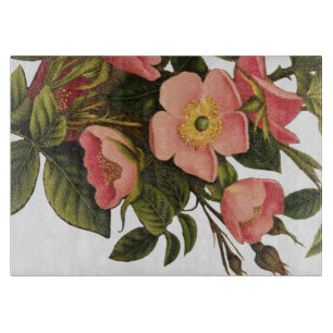 Planche À Découper Roses Anciennes Jolies Roses Botaniques Roses