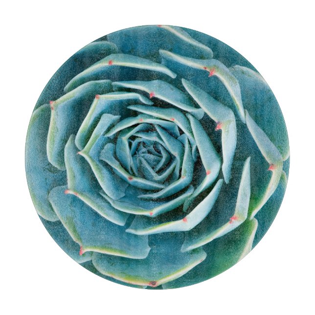 Planche À Découper Rosette d'Echeveria, Jardin Secret de Marrakech (Devant)