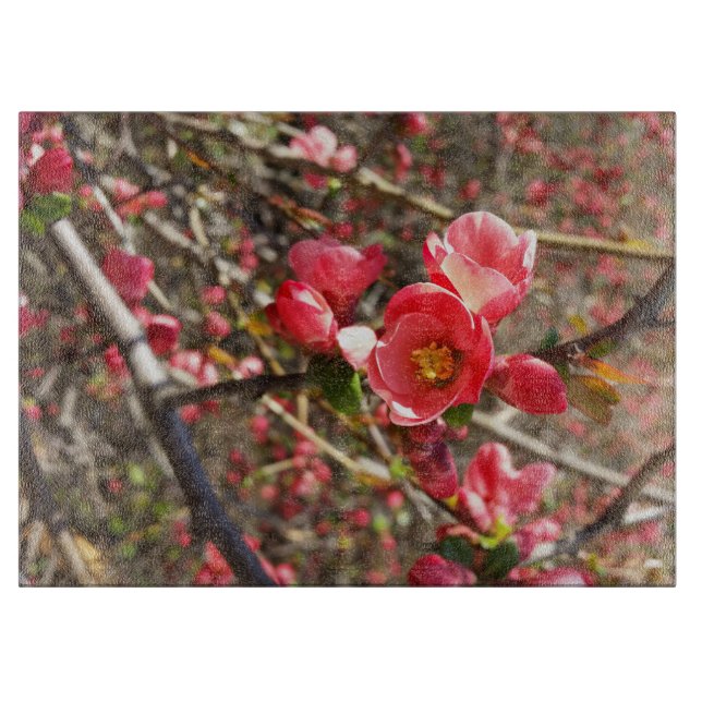 Planche À Découper rouge au printemps (Devant)