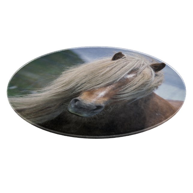Planche À Découper Royaume-Uni, Écosse, îles Shetland, poney Shetland (Coin)