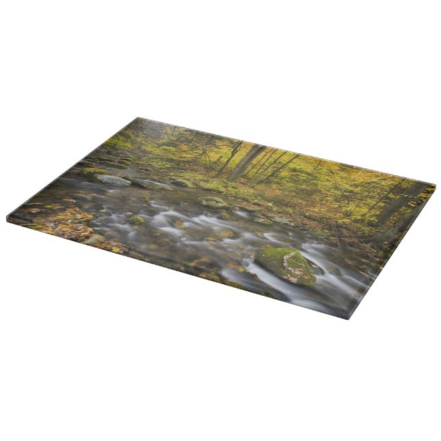 Planche À Découper Sanderson Brook.  Forêt d'État de Chester-Blanford (Coin)