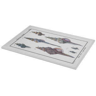 Planche À Découper Sept Coquillages Colorés