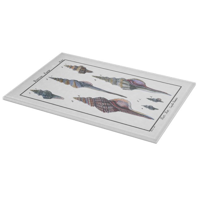 Planche À Découper Sept Coquillages Colorés (Coin)