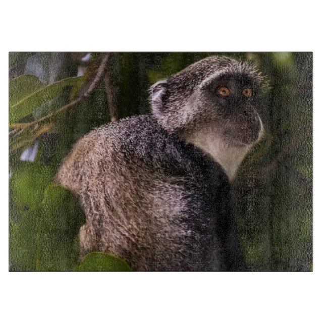 Planche À Découper Singe bleu, Zanzibar (Devant)