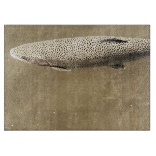 Planche À Découper Speckles