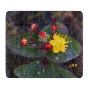 Planche À Découper St. John's Wort Fleur Jaune Personnalisée