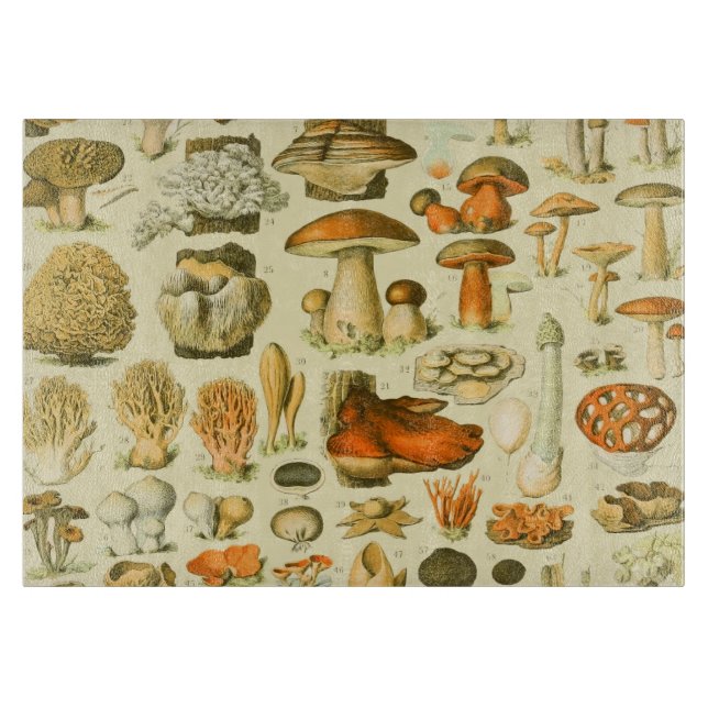 Planche À Découper Tabouret de toilette Vintage de champignons Illust (Devant)