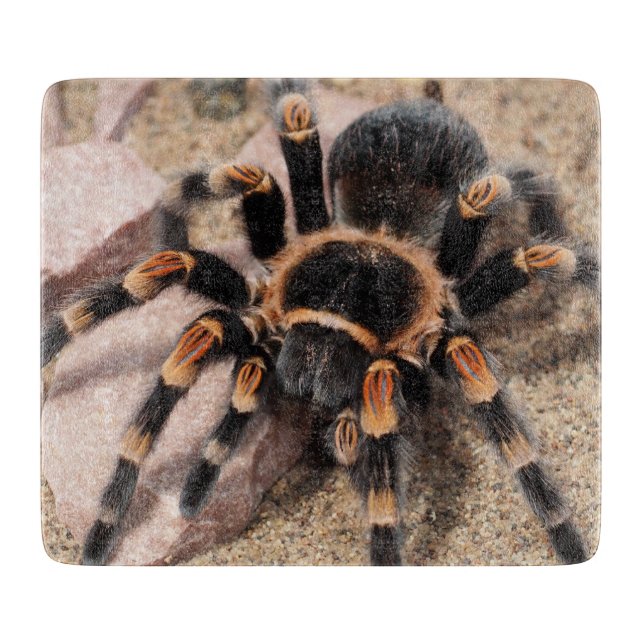 Planche À Découper Tarantula Spider du genou rouge mexicain (Devant)