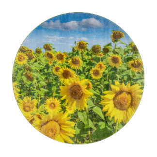 Planche À Découper Terrain de tournesol, ensoleillé l'été.