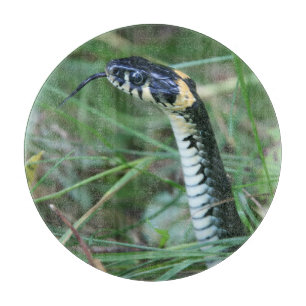 Planche À Découper Tête de serpent