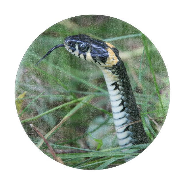 Planche À Découper Tête de serpent (Devant)