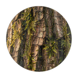 Planche À Découper Texture de l'écorce d'arbre forestier moussu