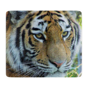 Planche à découper Tigre de Sibérie, Tigre de l'Am