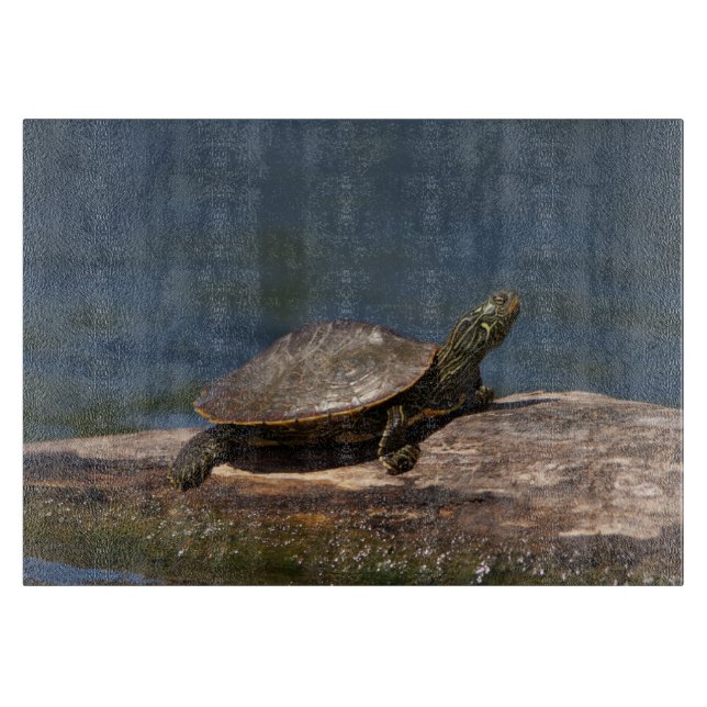 Planche À Découper Tortue peinte sur un bûcher (Devant)