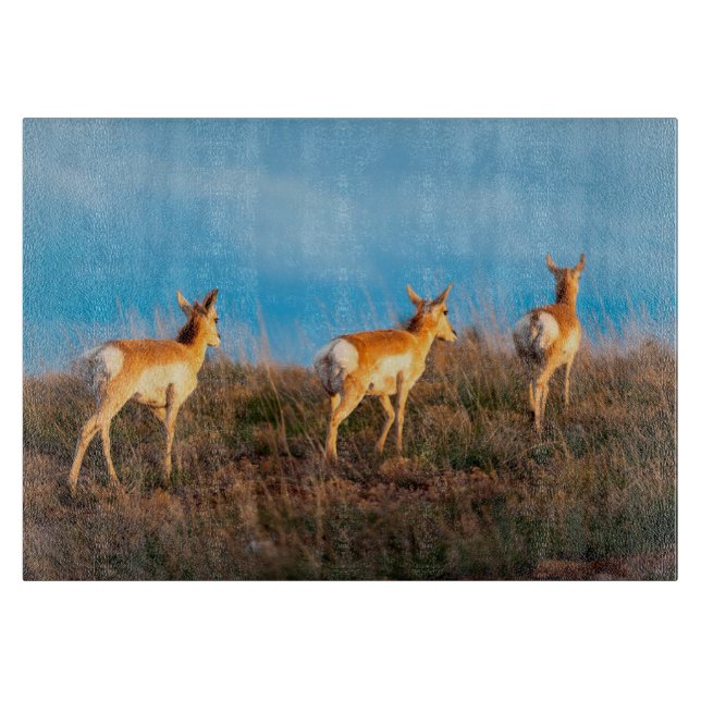 Planche À Découper Trois antilopes s'éloignant au coucher du soleil (Devant)