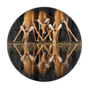 Planche À Découper Trois impalas boivent ensemble la nuit