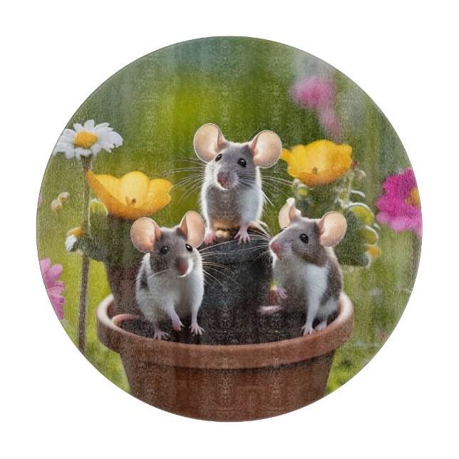 Planche À Découper Trois Mètres Dans Des Pots À Fleurs, (Devant)