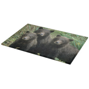 Planche À Découper Trois oursons grizzly ou Coys
