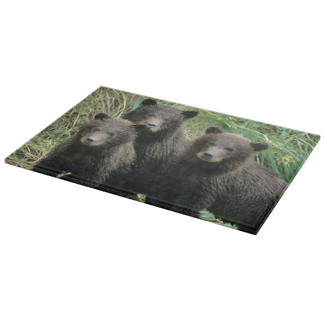 Planche À Découper Trois oursons grizzly ou Coys (Coin)