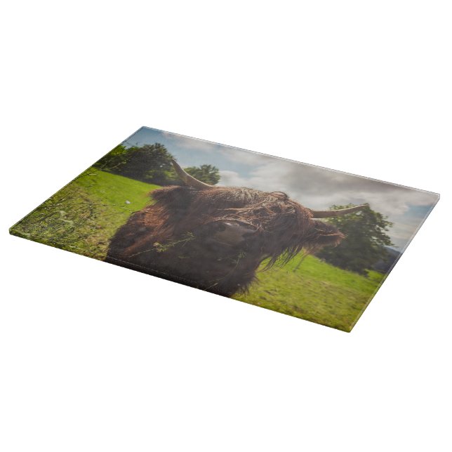 Planche À Découper Vache noire pâturage vert champ soleil (Coin)