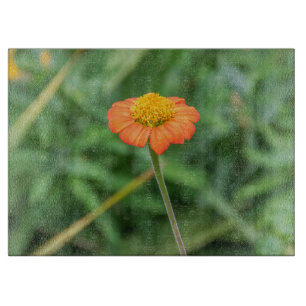 Planche À Découper Verre de marguerite orange