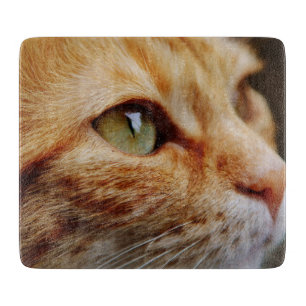 Planche À Découper Visage déterminé d'un chat de gingembre