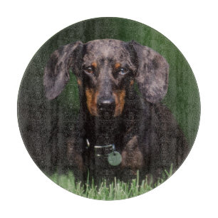Planche À Découper Vue de Dachshund couleur panaché