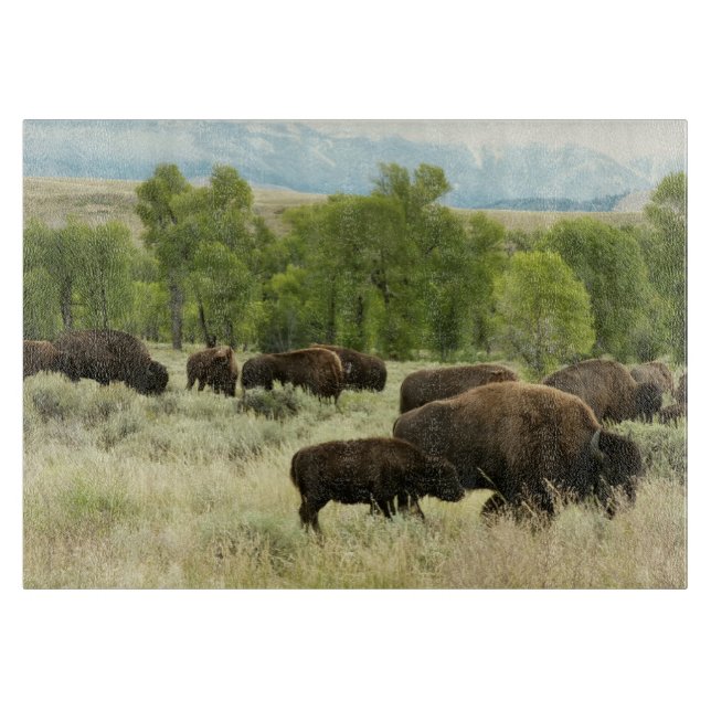 Planche À Découper Wyoming Bison Nature Animal Photographie (Devant)