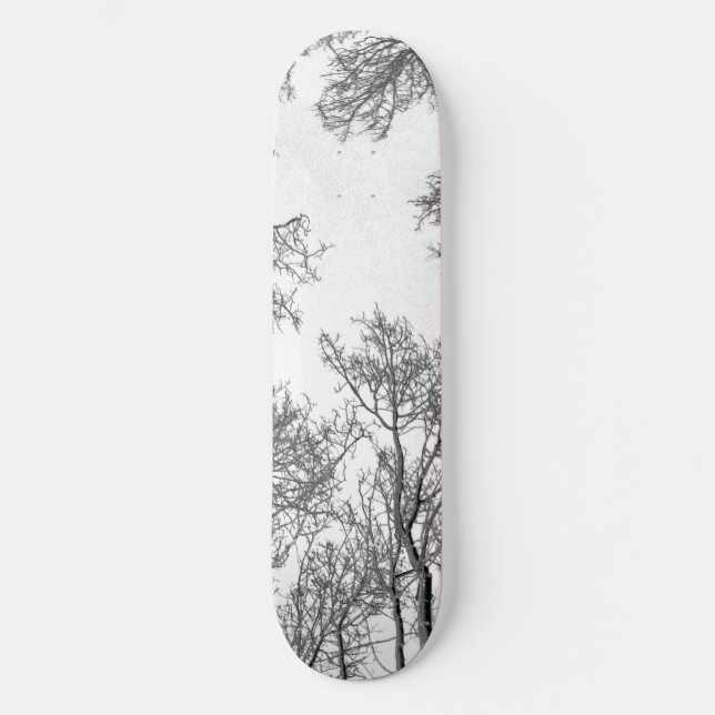 Planche de skateboard Aspen - Nuit blanche (Recto)