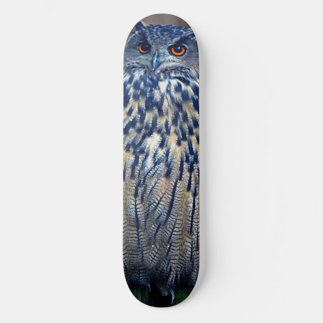 Planche de skateboard de Chouette Bleue (Recto)