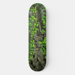 Planche de skateboard de l'arbre forestier