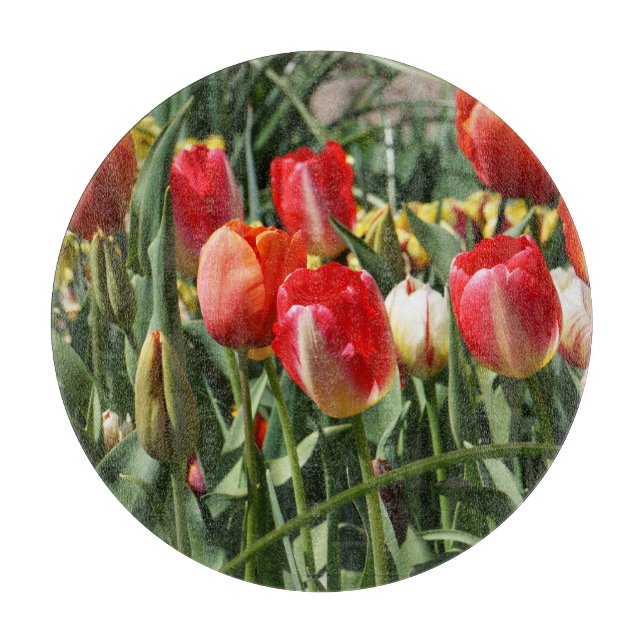 Planches à découper Tulipes Rouges Jardin Tulipe d (Devant)