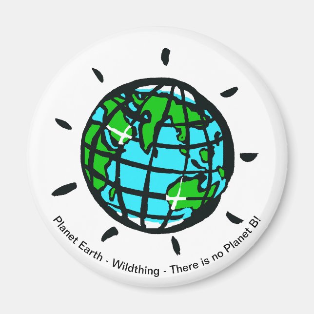 Planet Earth - Magnet (Devant)