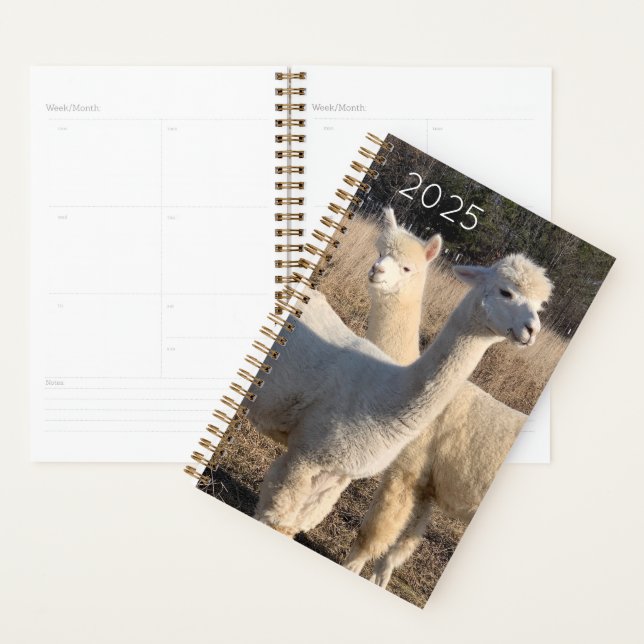 Planificateur 2025 - Alpacas Abby & Bailey (Devant avec enveloppe)
