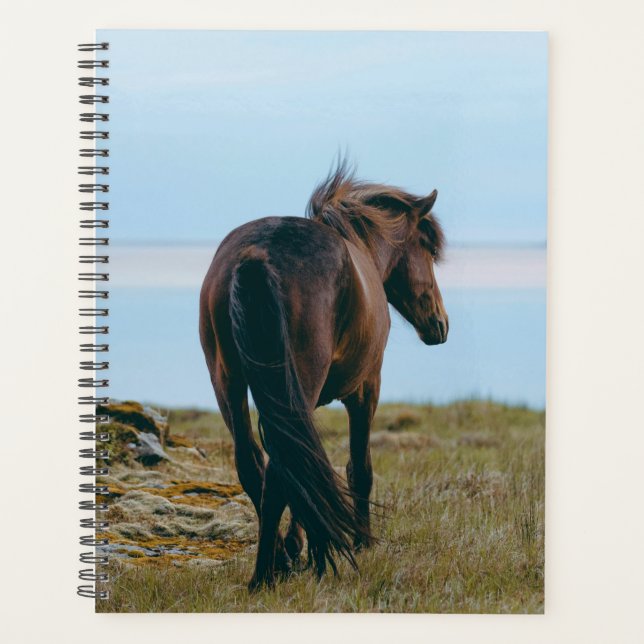 Planificateur à cheval pittoresque (Devant)