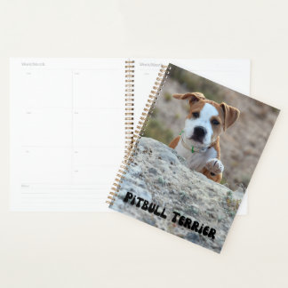 Planificateur calendrier Pitbull Terrier Puppy