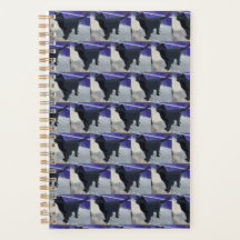 Planificateur Chat Noir