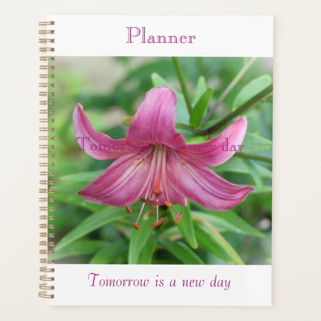 Planificateur de Beauté Rose (Devant)