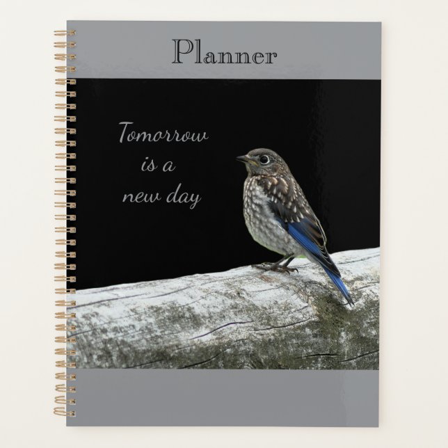 Planificateur de bébé oiseau (Devant)