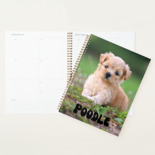 Planificateur de calendrier de marionnettes de can