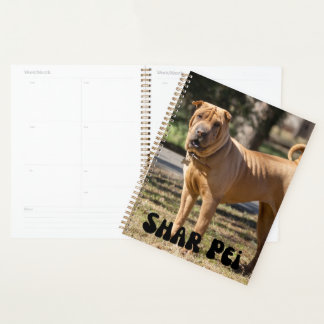 Planificateur de calendrier de marionnettes de cha