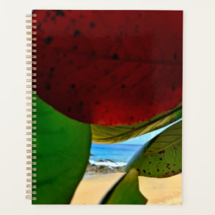 Planificateur de calme des Caraïbes - Feuilles tro