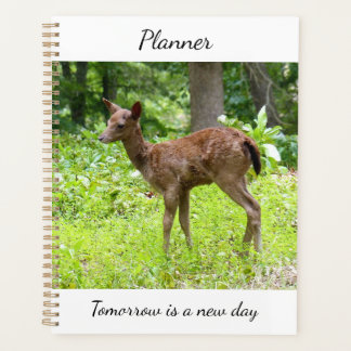 Planificateur de cerf