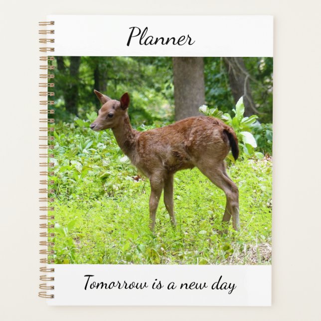 Planificateur de cerf (Devant)