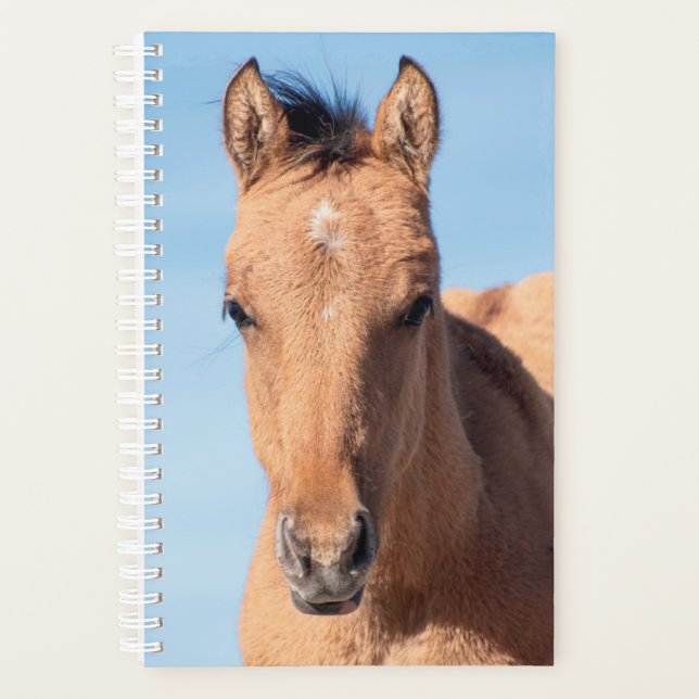 Planificateur de chevaux sauvages (Devant)