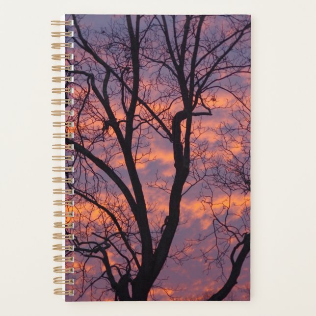 Planificateur de coucher de soleil hivernal (Devant)